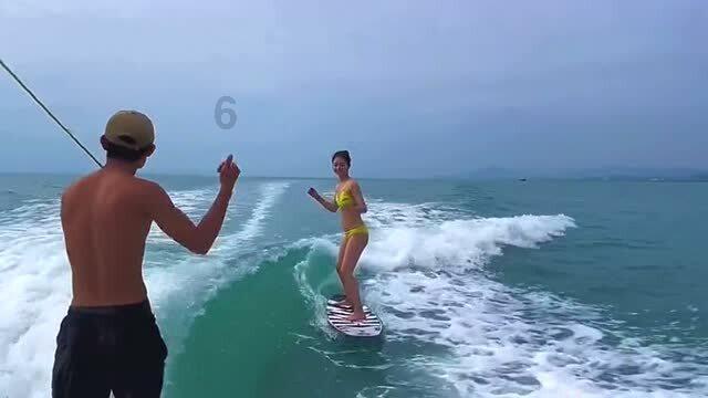 逃离金刚鹦鹉森林